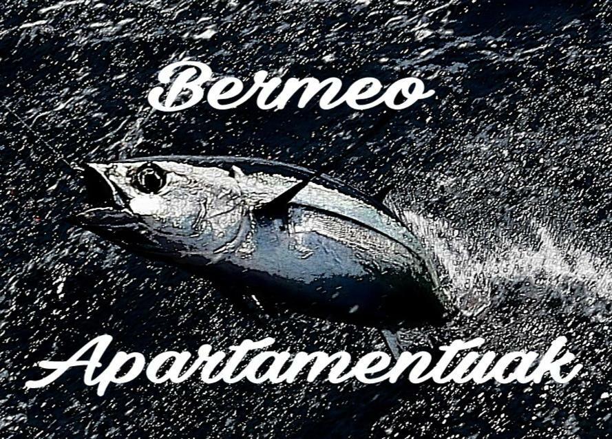 Apartamentos-Bermeo Buitenkant foto